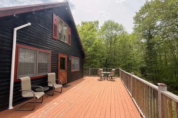 Black Bear Den - Image 1